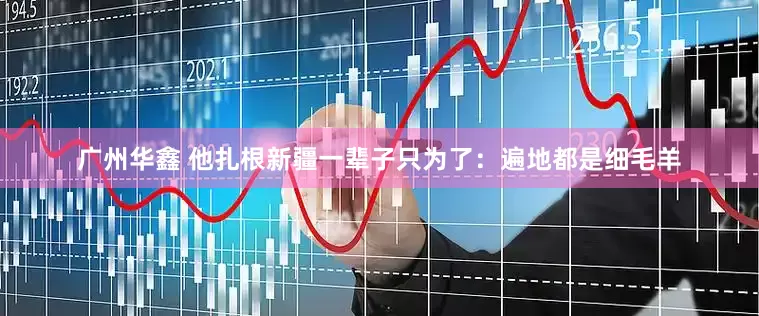 广州华鑫 他扎根新疆一辈子只为了：遍地都是细毛羊