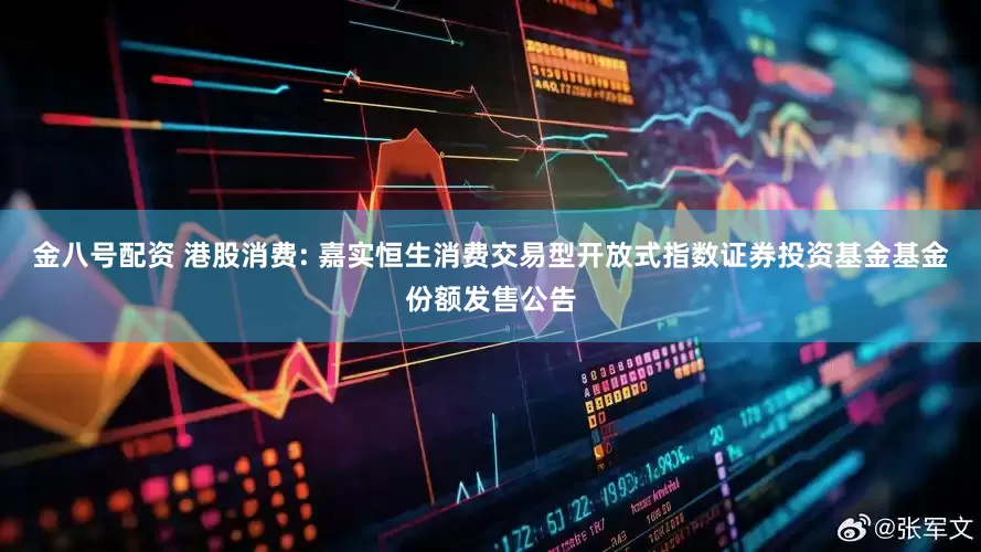 金八号配资 港股消费: 嘉实恒生消费交易型开放式指数证券投资基金基金份额发售公告