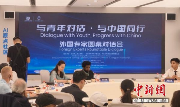 鼎宝融 一句“你好”能走遍中国：中国政府友谊奖外籍专家与国际青年对话